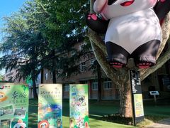 -西安电影制片厂