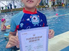 -鲨鱼游泳培训中心