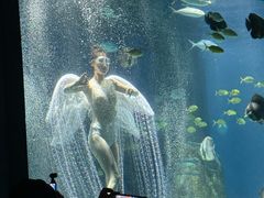 -海合安武汉极地海洋公园