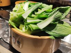 油菜-龍歌自助小火锅(李沧丽达店)