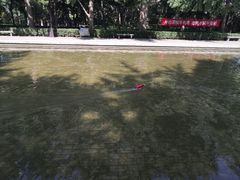 -玲珑塔公园