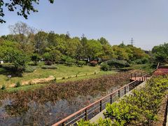 -太子山公园(园东路)