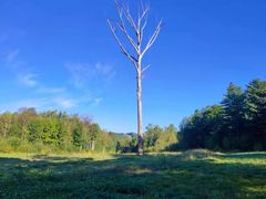 -长白山万达喜来登度假酒店
