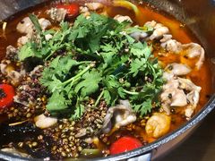 -望京一号·重庆江湖菜(工体店)