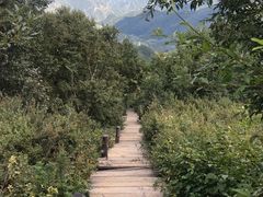 -白草畔自然风景区