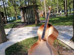 -黄海国家森林公园