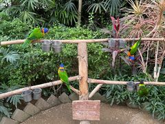 -南宫五洲植物乐园