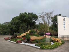 -上海滨江森林公园
