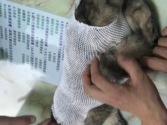 -百信宠物医院(东升街店)