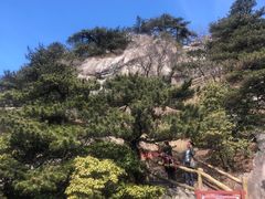 -罗田天堂寨风景区
