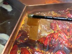 重庆苕粉-锅说大脸毛肚重庆老火锅(佐阾店)