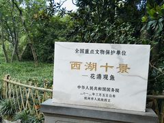 -西湖外事游船(花港观鱼码头)