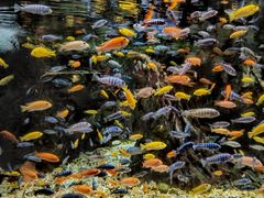 -太平洋海底世界