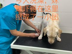 -达爱动物医院·犬猫分区·CT·复杂眼科(远洋山水分院)