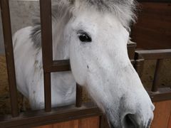 -象山森林公园