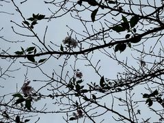 -白塘生态植物园