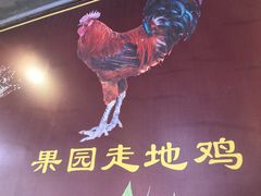 -开心农家菜