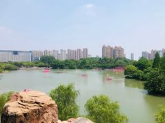 -青枫公园