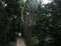 -四川大学(望江校区)
