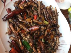 -芦苇荡·酸汤鱼(回龙观店)
