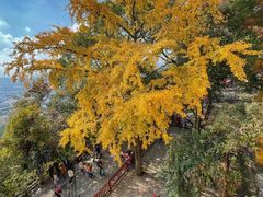 -灵岩山风景区