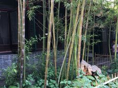 -王家大院