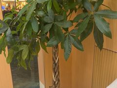 -手爱盲人推拿按摩·精准调理(江宁金山路店)
