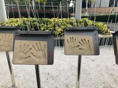 -星光大道