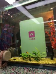 小左美发(南京东路店)-小左美发