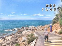 -广东惠东海龟国家级自然保护区