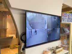 -红舞鞋舞蹈教育(近江校区)