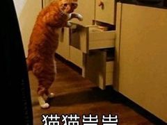 -正宗河南特色大饼店(菊乐路店)