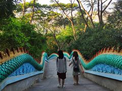 -西双版纳勐泐文化旅游区