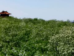 -南戴河国际娱乐中心