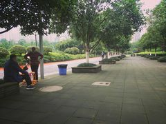 -龙头寺公园
