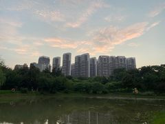 -堤角公园