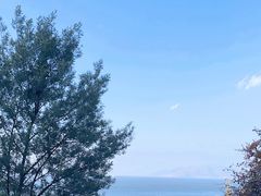 -洱海月湿地公园