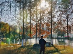 -金银湖国家城市湿地公园
