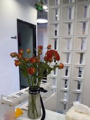 -V7 HAIR SALON