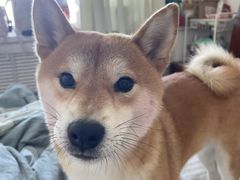 -联合动物医院(光谷诊疗中心)