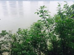 -桐君山春江扬帆码头