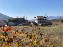 -塔川景区