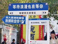 -哈密回王府景区
