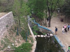 -白水寺森林公园