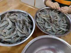 -小叶大馅饺子城