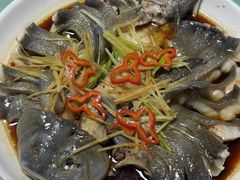 -煲来饱去冷水鱼