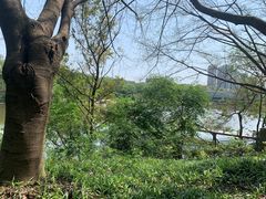 -棕榈泉国际花园1期