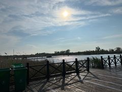 -盐城丹顶鹤湿地生态旅游区