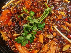 -鸿顺老铁锅美蛙鱼府(解放碑店)