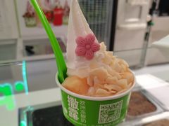 -Salud撒露欧洲冻酸奶(五道口购物中心店)